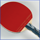 professional table tennis