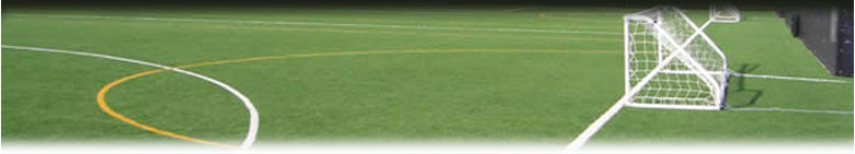 astro turf and artificial grass