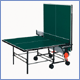 outdoor table tennis