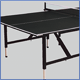flexi table tennis