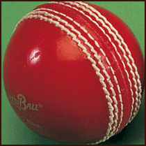cricket equipment