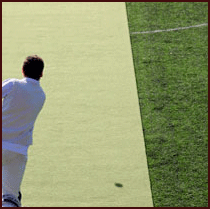 outdoor cricket mat