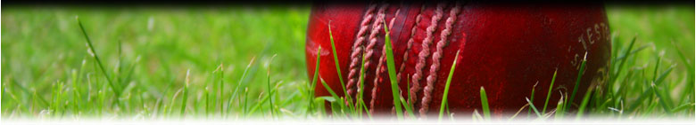 cricket equipment and cricket nets