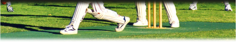 cricket equipment and cricket nets