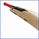Newbury Professional Cricket Bats