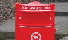 Municipal PVC parks dog waste bin.