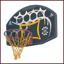 Sureshot 506R Basketball Backboard & Ring