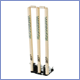 cricket stumps and wickets