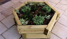 Hexagonal Natural Timber Planter