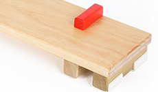 Active Balance Beam Plank