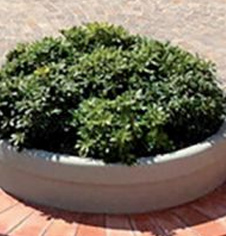 Public Display planter Display planter