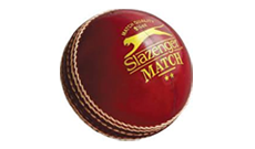 Cricket Match Balls