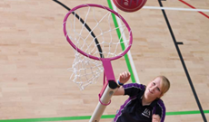 A single freestanding steel netball goal post.