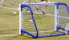 Folding hockey target training goal.