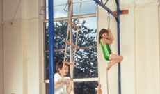 Gymnasium & PE wall mounted rope climbing trackways.