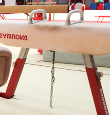 Vaulting pommel PE