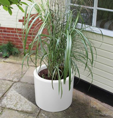 Public Display planter Display planter