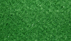 Scanabowl B Carpet