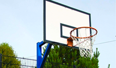 Heavy Duty Basketball Hoop Outdoor Indoor Basketball School Gym Club Training Professional