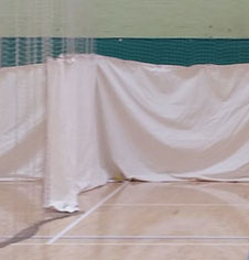 Screens for cricket