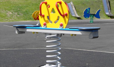 Playground Spring Seesaws