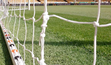 Senior 7.32m x 2.44m replacement goal netting.