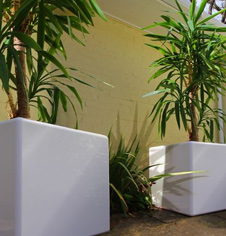 Public Display planter Display planter