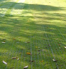 Cricket matting rubber