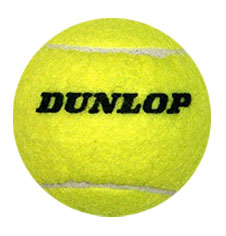 Wilson tennis balls